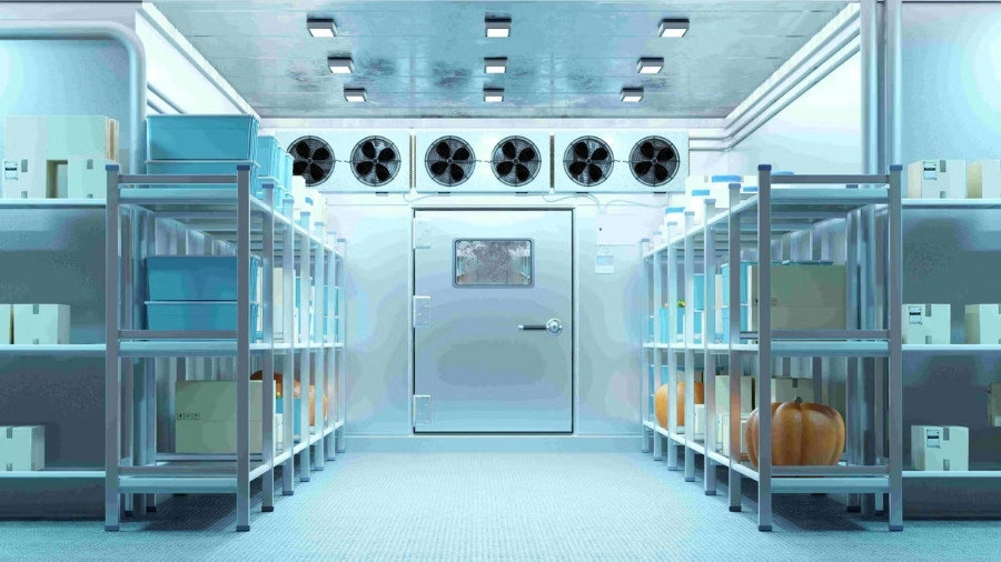 Do You Need Climate-Controlled Storage in Dubai